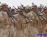 مصدر : عمليات ذي قار ستتولى الإشراف على ثلاثة محافظات جنوبية مصدر : عمليات ذي قار ستتولى الإشراف على ثلاثة محافظات جنوبية