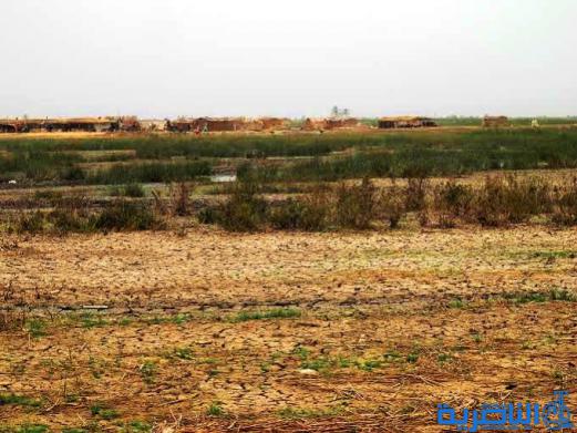 محافظ ذي قار يعلن اهوار الناصرية مناطق منكوبة بسبب الجفاف ويدعو المنظمات الدولية للضغط على تركيا لأطلاق مياه الفرات - تقرير مصور -