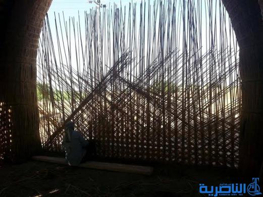 بالصور :كيف تبنى مضايف الناصرية ، بيوت القصب التي تحضى بمنزلة برلمان