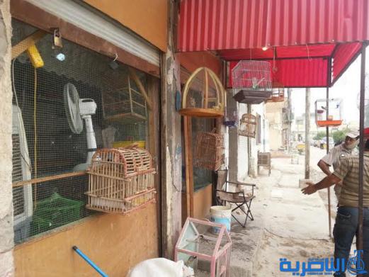 بالصور : ريف الشطرة يشهد ابشع عمليات التهريب لصاحب الخد الأبيض