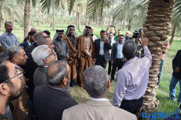 الارشاد الزراعي في ذي قار ينظم ورشة عمل لمكافحة سوسة النخيل الحمراء