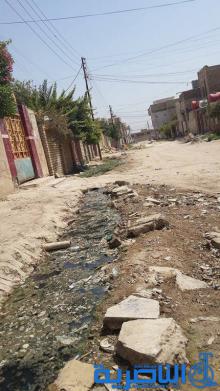 حي التجار في 
