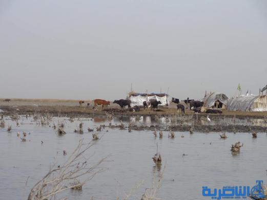 اين الاهتمام بالاهوار ورعايتها منذ عشر سنوات