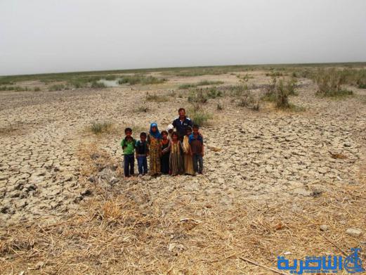  بالصور : اهوار الناصرية تجف ، والتنوع الاحيائي فيها مهدد بالفناء