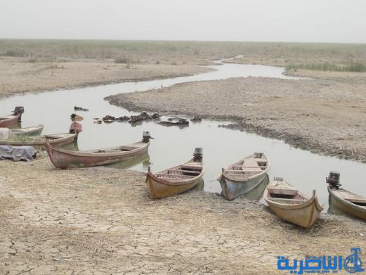  بالصور : اهوار الناصرية تجف ، والتنوع الاحيائي فيها مهدد بالفناء
