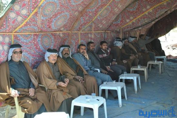 عشائر بني سعيد تقيم مهرجانا تضامنيا في الشطرة دعما للجيش في حربه ضد داعش - تقرير مصور -