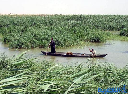 لجنة حكومية تطالب البلديات بنصب لوحات ارشادية لمناطق الاهوار والاثار في ذي قار