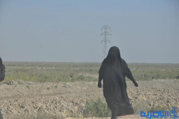  بالصور : وصول طلائع زوار البصرة الى الجبايش والمنار  