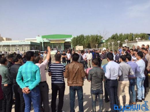  وقفة احتجاجية لكوادر التخدير في ذي قار للمطالبة بتوزيع الاراضي السكنية - تقرير مصور -