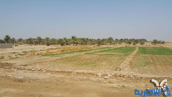 الجمعيات الفلاحية: لايمكن الاعتماد على الآبار لمواجهة الشحة بذي قار