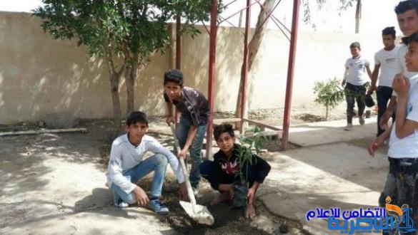 تلاميذ مدرسة التضامن الثالثة يزرعون مجموعة من الورود والأشجار