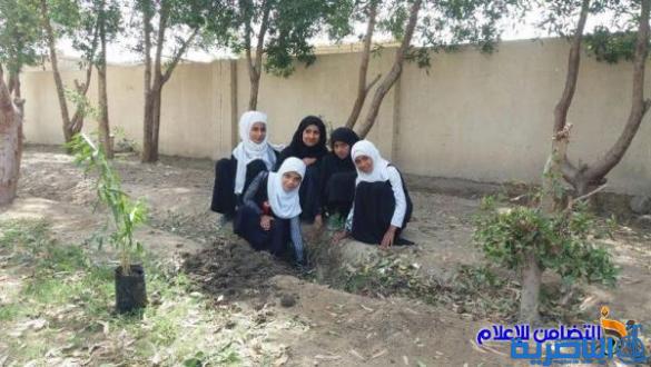 تلاميذ مدرسة التضامن الثالثة يزرعون مجموعة من الورود والأشجار