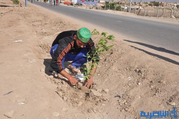 بالصور : بلدية الشطرة تزرع الفي شتلة على طريق زوار الاربعينية