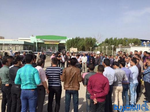  وقفة احتجاجية لكوادر التخدير في ذي قار للمطالبة بتوزيع الاراضي السكنية - تقرير مصور -