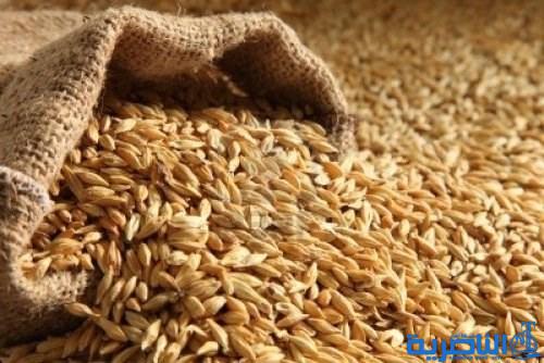 التجارة تزود ذي قار بثلاثة الاف طن من الحنطة الاسترالية