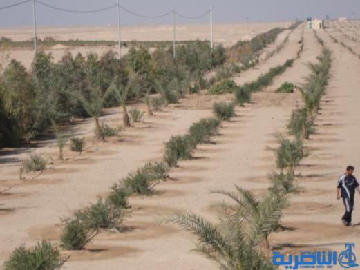 بيئة ذي قار تطالب بإعادة العمل بمشروع الحزام الأخضر