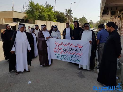 الناصرية : مربو الجاموس يتظاهرون مجددا لاعفائهم من سداد القروض الزراعية