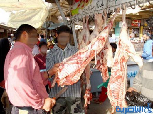  بيطرة ذي قار تحذر : 90% من ذبح المواشي يتم في مناطق عشوائية غير مجازة