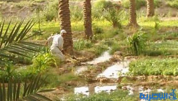 ذي قار تضع خطة لمنح القروض لأكبر عدد من مزارعي المحافظة