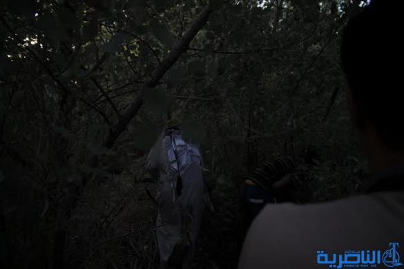 الضباع والذئاب تحاصر قرية في ذي قار ،والاهالي ينزحون حفاظا على ارواحهم ومواشيهم - تقرير مصور -