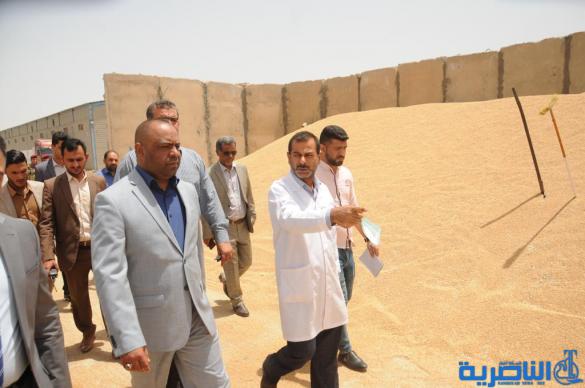 ذي قار تدفع لمسوقي الحنطة ١٨ مليارا وتفتح منفذا جديدا للتسويق في الإصلاح  