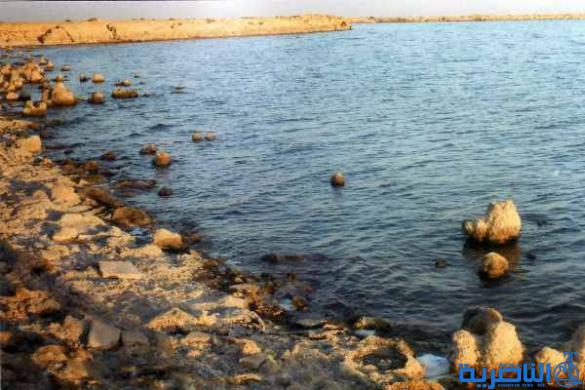 اكاديمي من ذي قار : بحيرة ساوة في طريقها الى الزوال