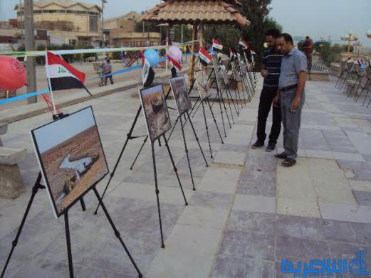 بالصور : ذي قار تفتح معرضا فوتوغرافيا يجسد ماساة تجفيف الاهوار