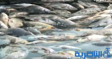 الزراعة تتخذ اجراءات احترازية لحماية الثروة السمكية في ذي قار