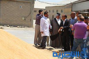 الناصري يتابع عملية تسويق الحبوب في سايلو الناصرية ، ويدعو الى التسريع باطلاق المستحقات المالية للفلاحين - تقرير مصور -