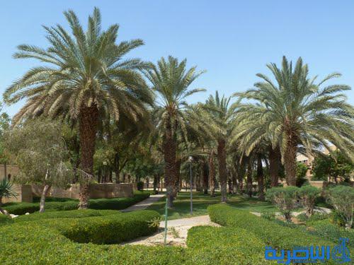 تجريف اكثر من 400 دونم من بساتين النخيل في ذي قار 