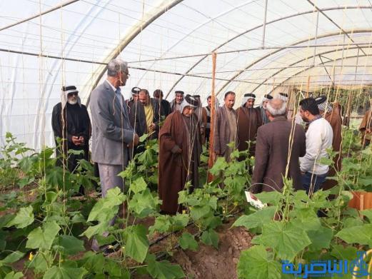 ندوة ارشادية للتعريف باصناف محاصيل الخضار المحلية في ذي قار