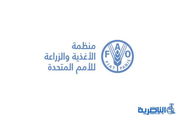 افتتاح مكتب اقليمي لمنظمة الاغذية العالمية في ذي قار