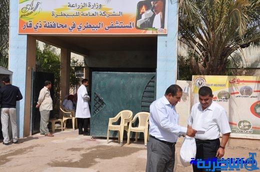 بيطرة ذي قار ترفع حالة التأهب لمكافحة انفلونزا الطيور