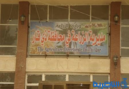 زراعة ذي قار تباشر بمكافحة حفار ساق النخيل