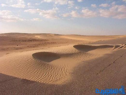 دائرة الكثبان الرملية تقترح خطة سنوية لتثبيت ‪1500‬ دونما