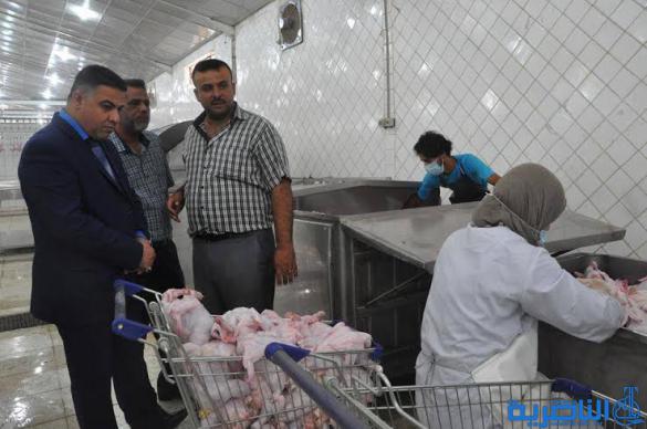  الناصرية تضع قيودا على دخول الدواجن لمنع انتشار انفلونزا الطيور