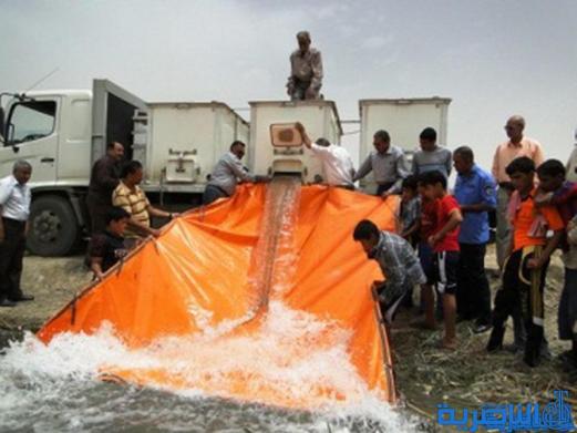 اطلاق سبعة ملايين اصبعية كوجبة اولى في اهوار ذي قار