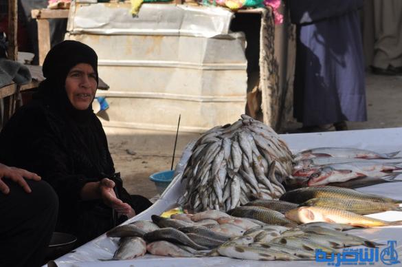 بالصور : كيف بدت الناصرية هذا الاسبوع ، مفاتنها واوجاعها وحياتها الامنة