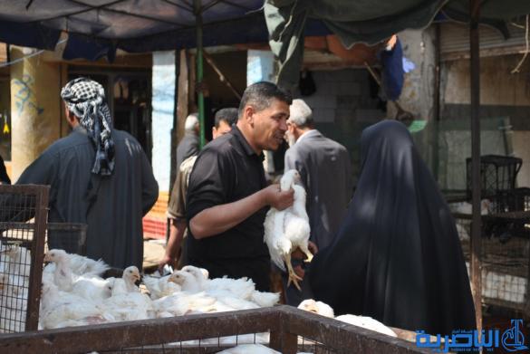 بالصور : في مدينة الشطرة الناس منشغلون فقط بصناعة الحياة 