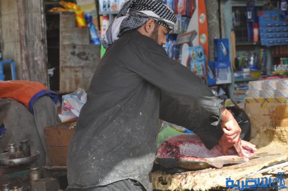 بالصور : كيف بدت الناصرية هذا الاسبوع ، مفاتنها واوجاعها وحياتها الامنة
