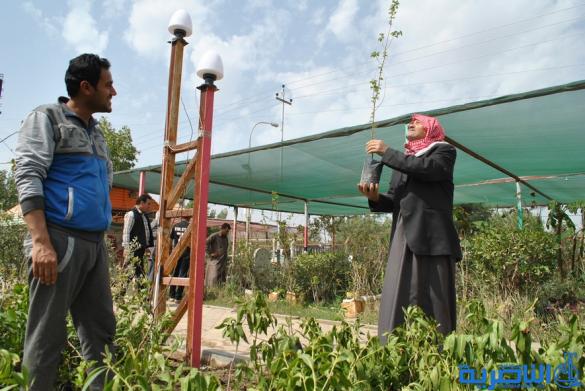 بالصور : في مدينة الشطرة الناس منشغلون فقط بصناعة الحياة 