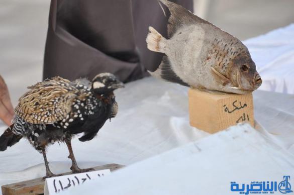 بالصور: الناصرية تحتفي بالذكرى الـ147 لتأسيسها
