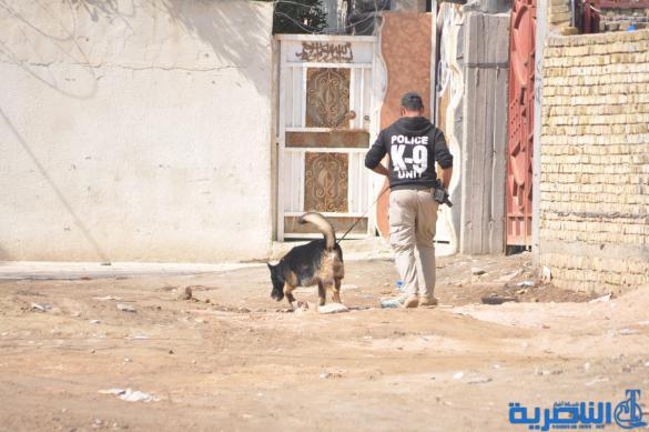 شرطة ذي قار تنفذ تدريبا ميدانيا هو الاكبر من نوعه للتعامل مع مسرح الجريمة – تقرير مصور –