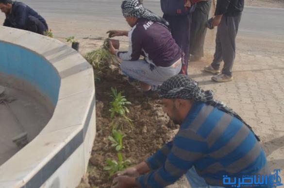  بالصور :انطلاق حملة التشجير الربيعي في الرفاعي