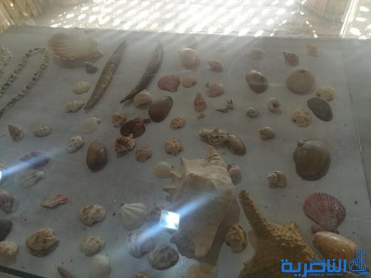 برعاية اسيا سيل ، افتتاح متحف للتراث في اهوار الجبايش تقرير مصور -