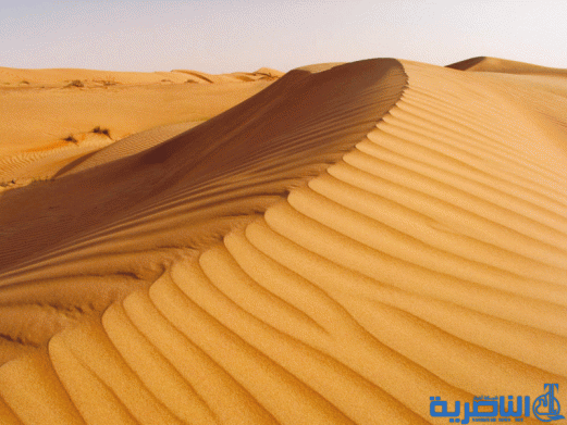  ايقاف العمل بمشروع الكثبان الرملية في ذي قار بسبب شح التخصيصات المالية