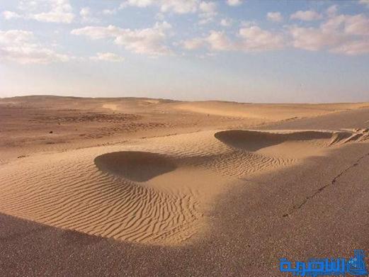 زراعة عشرة الاف شتلة في مداخل ذي قار لمقاومة التصحر