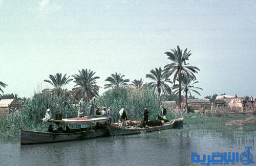 العراق واليونسكو يستعدان لاعتماد اهوار الناصرية والبصرة وميسان ضن التراث العالمي
