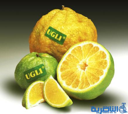 أغرب أنواع الفاكهة لم تراها من قبل