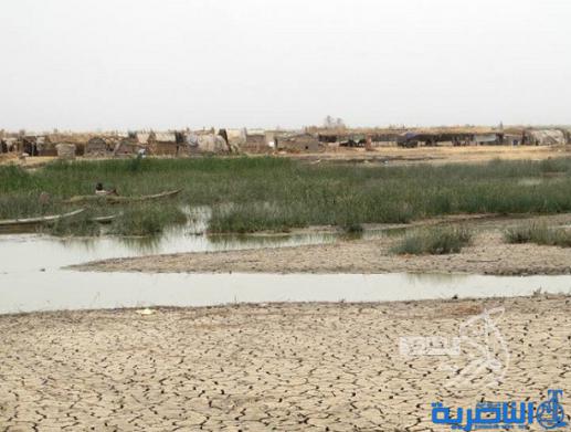  ذي قار :انخفاض مناسيب الاهوار مجددا بعد غلق منافذ الفرات